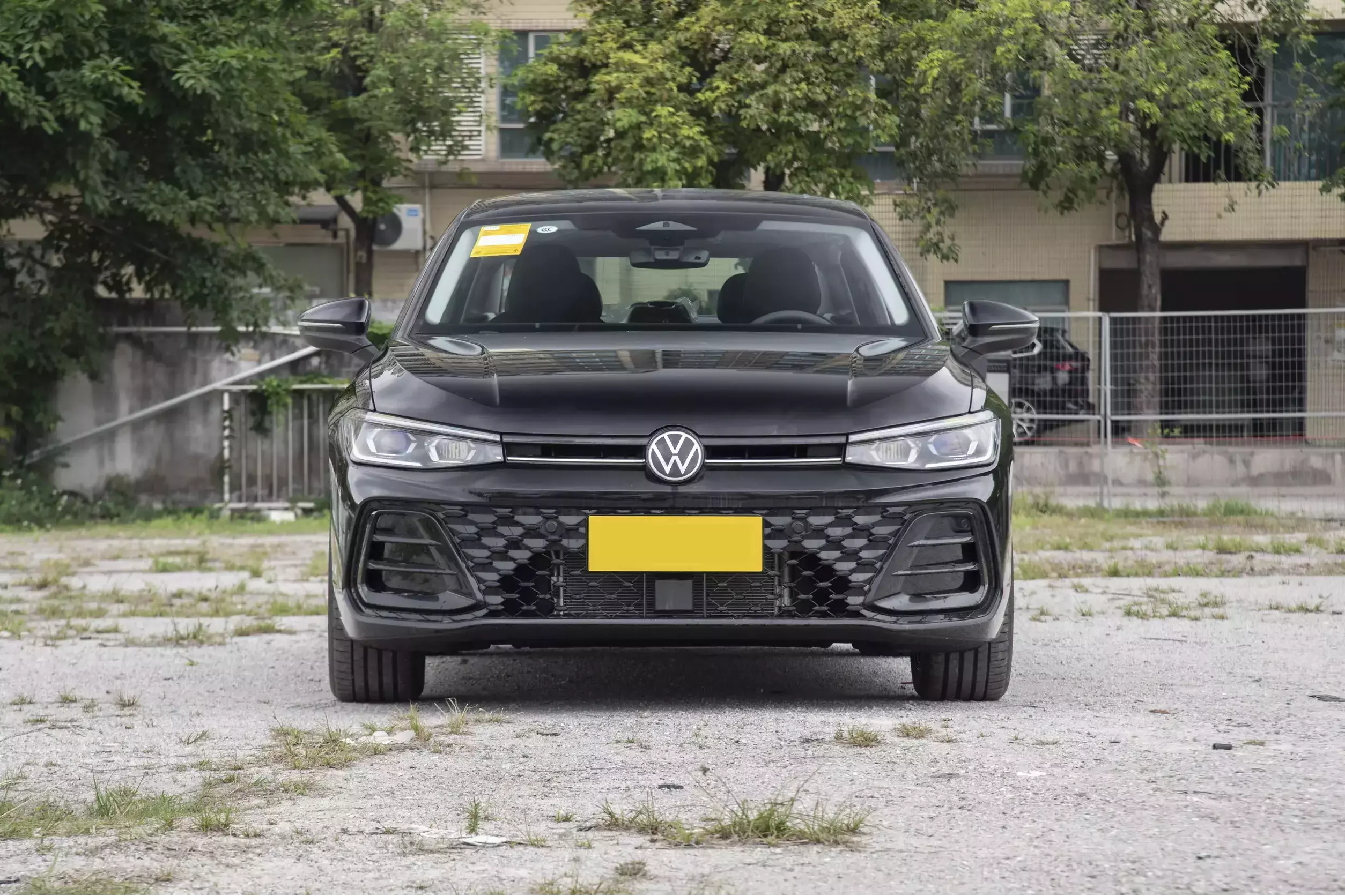 Passat 2025 Pro 300TSI Starry Sky Dragon Edition